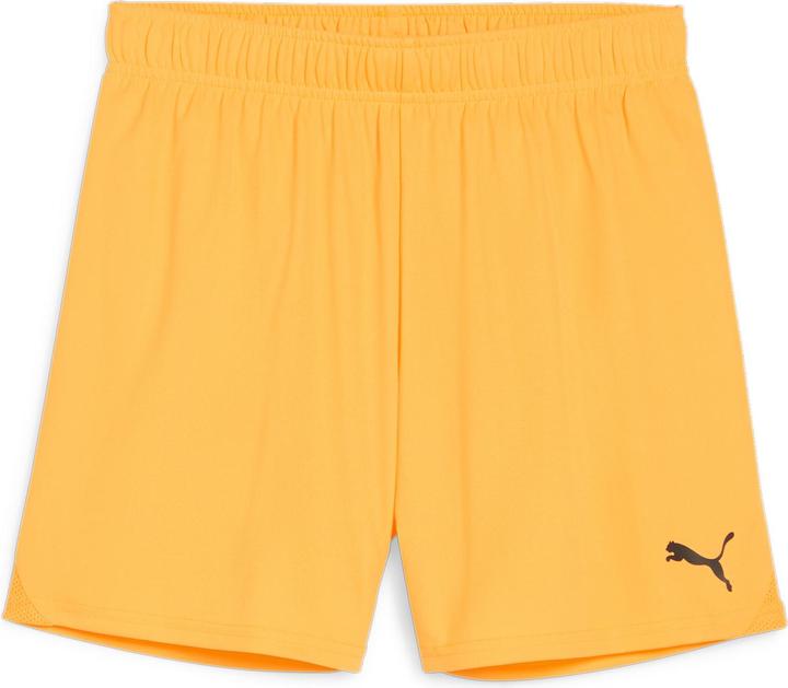 Puma teamGOAL Shorts Wmns