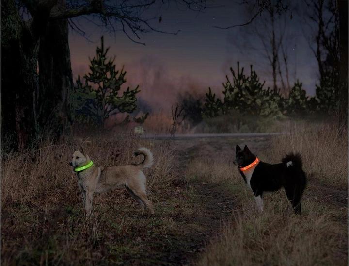 Produktbild Karlie Visio (Hund, Spazieren)