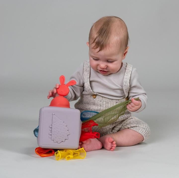 Immagine prodotto Taf Toys Scatola di salviette Pop Up