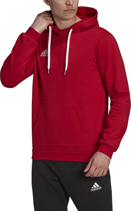 Actual product image adidas Entrada 22 hoodie men (L)