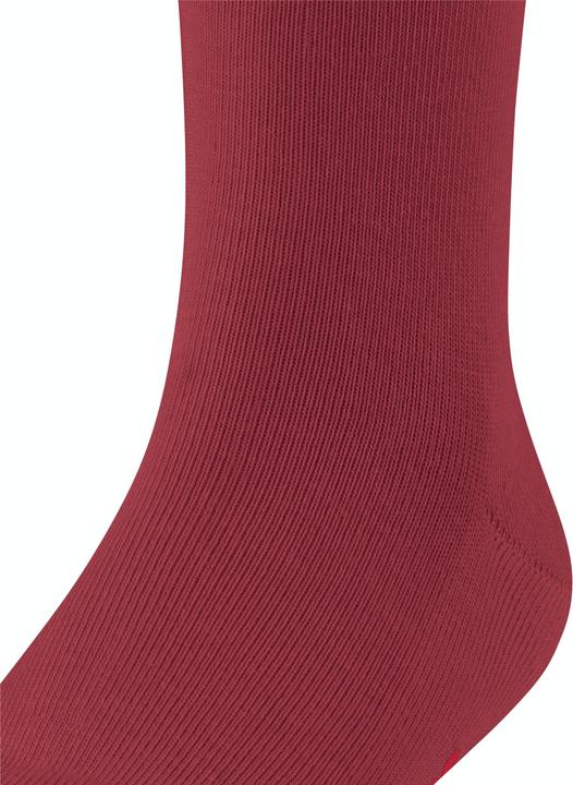 Actual product image Falke Family SO (Single pack, 39 - 42)