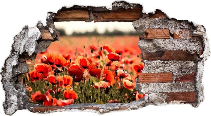 Produktbild Trenddeko 3D Poppy Field (100 x 54 cm)