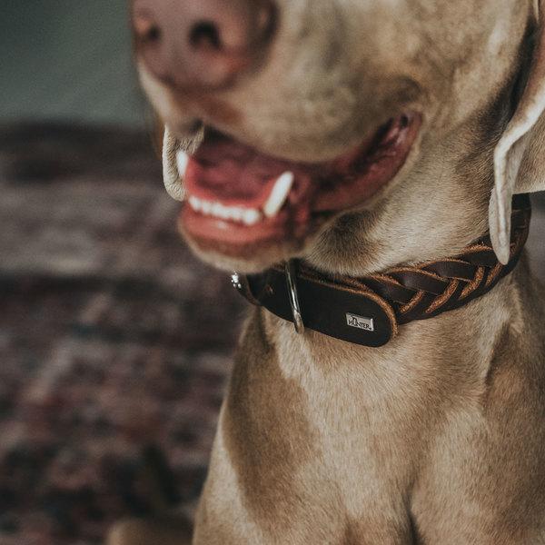 Image du produit Hunter Collier Solid Education Special (35, 36, 37, 38, 39, 40, 41, 42, 43, 44, Chien)