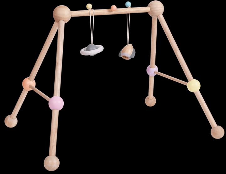 Actual product image Plantoys Baby Gym