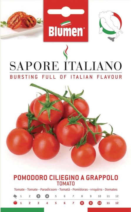 Blumen Tomato Ciliegino a Grappolo (Vegetable seeds)