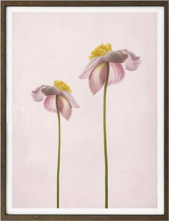 Immagine prodotto Trenddeko Sommerlust (60 x 80 cm)