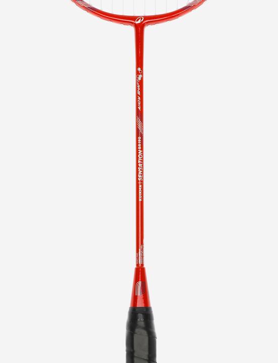 Image du produit Perfly Lot Raquette De Badminton Adulte BR 190 Partner - Bleu/Rouge