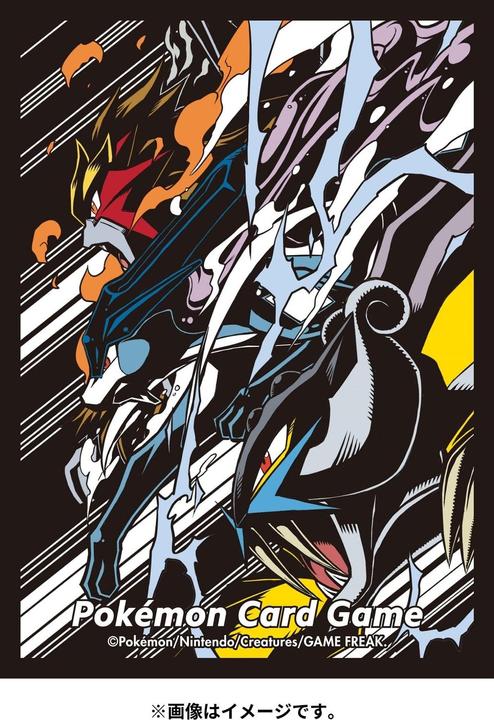 Actual product image Pokémon Pokemon Center Original Deck Sleeves Shield Entei & Raikou & Suicune