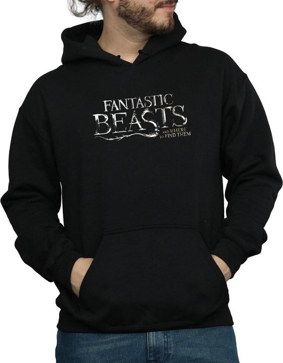 Actual product image Fantastic Beasts Mens Text Logo Hoodie (XXL)