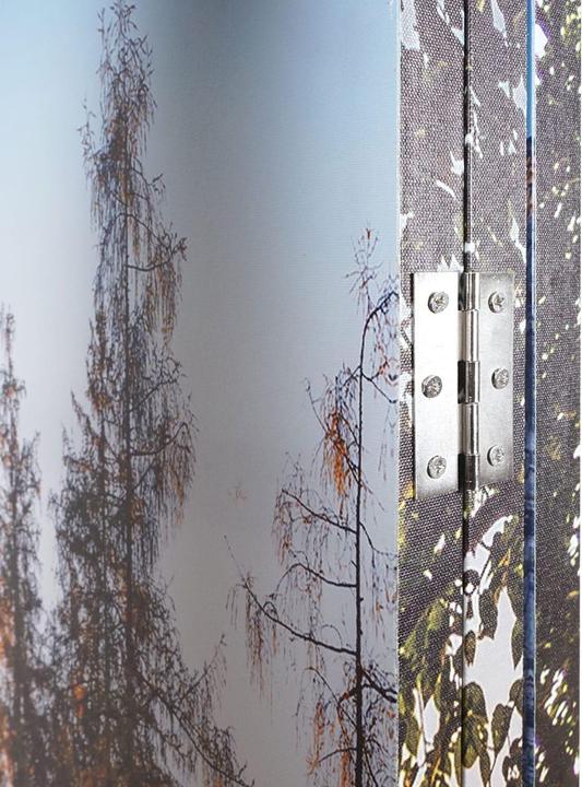 Immagine prodotto Mendler Schermo fotografico
