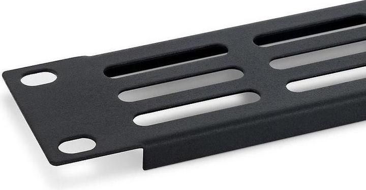Immagine prodotto Triton RAB-ZP-P42-A1 - 19- perforierte Blindplatte 2HE mit perforiertem Oval 36 x 6 mm, schwarz