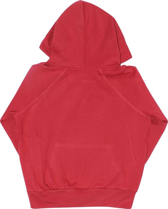 Actual product image Ralph Lauren Girls Pony Hoodie (176)