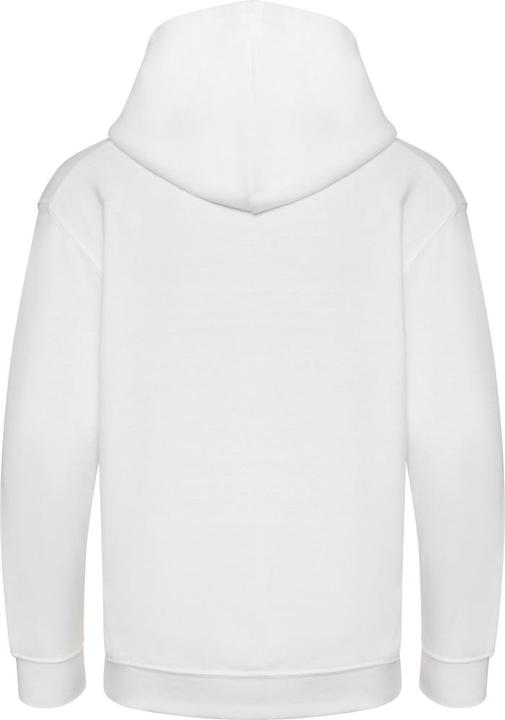Actual product image Awdis Hooded jumper from organic farming (152)