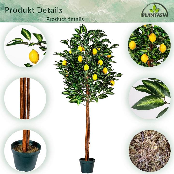 Produktbild Plantasia Kunstpflanze Zitronenbaum 180cm (180 cm)