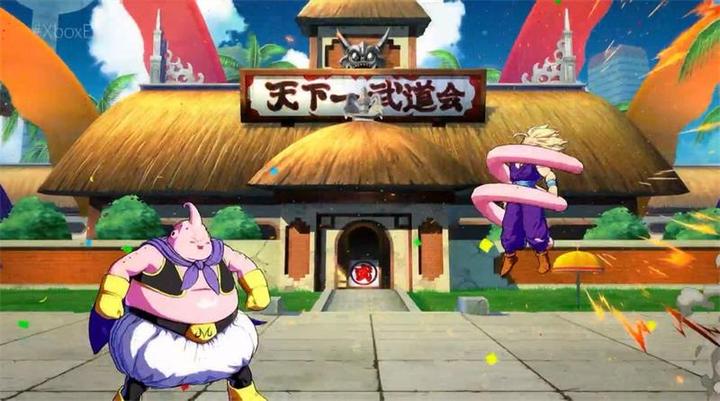 Actual product image Bandai Namco Dragonball FighterZ (Switch, Multilingual)