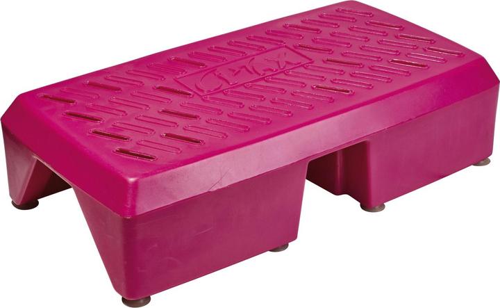 Actual product image Kübler Sport Aqua Step, with suction cups