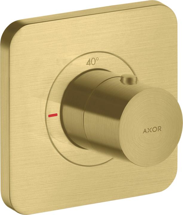 Brushed Brass