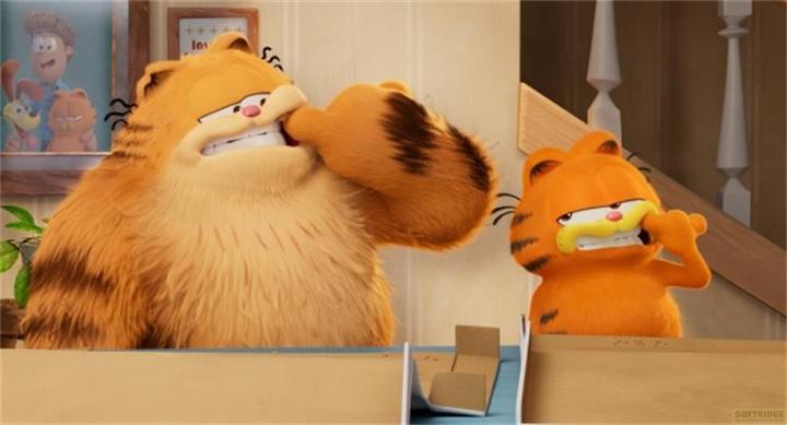 Actual product image Sony Garfield (Blu-ray, 2024, German, Italian, English)