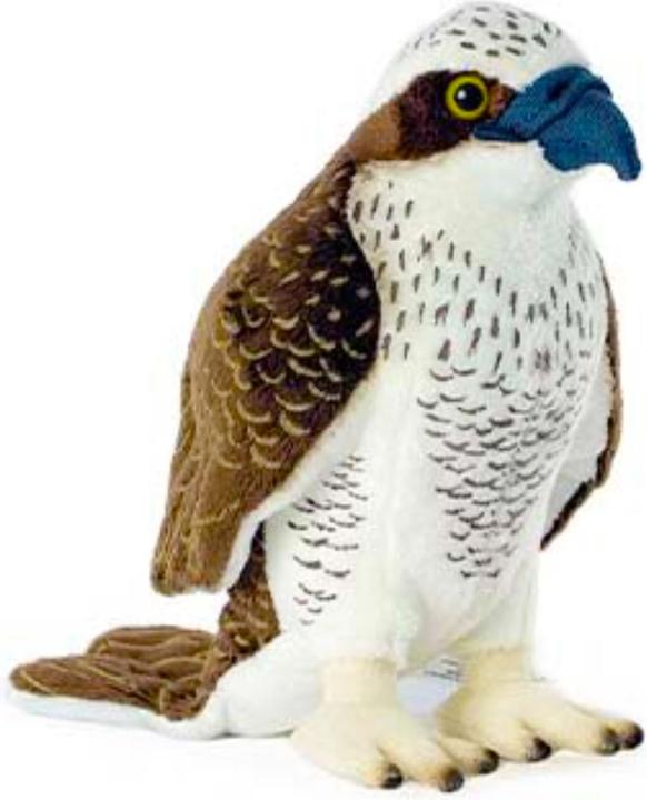 Image du produit Living Nature Balbuzard pêcheur (20 cm)