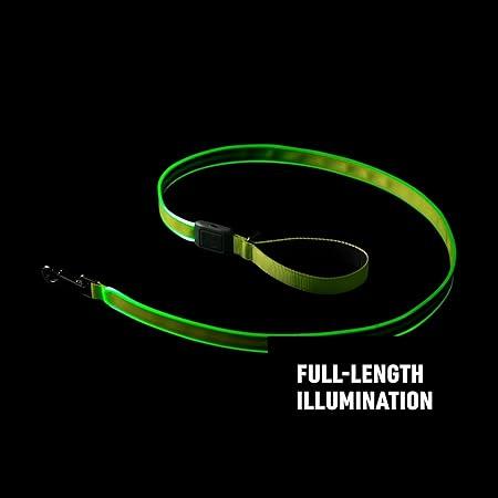 Image du produit Nite Ize NiteDog™ Leash à LED rechargeable (Chien, Général)