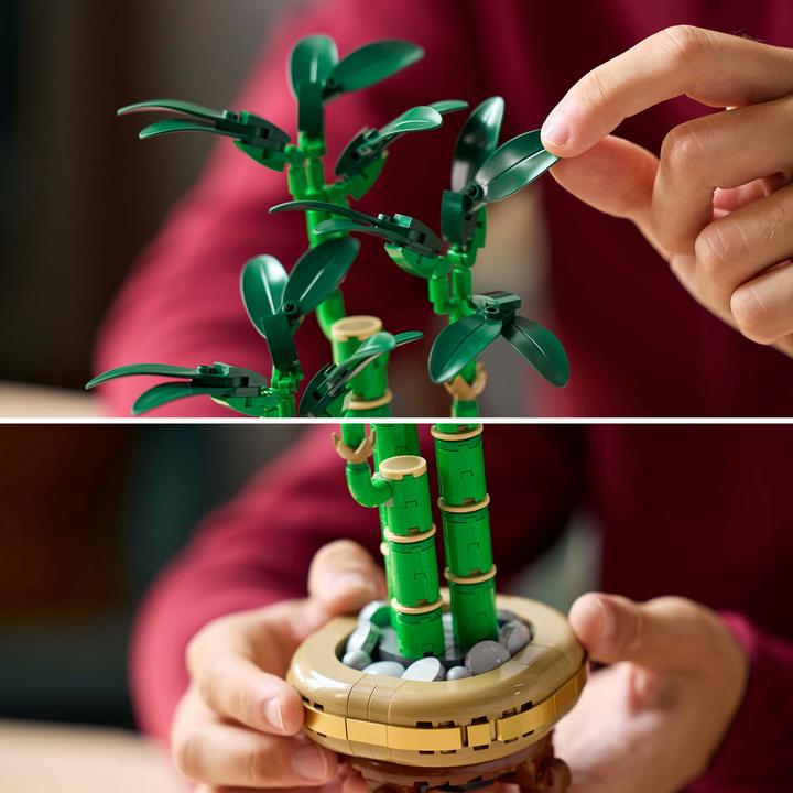 Produktbild LEGO Glücks-Bambus (10344, LEGO Icons)
