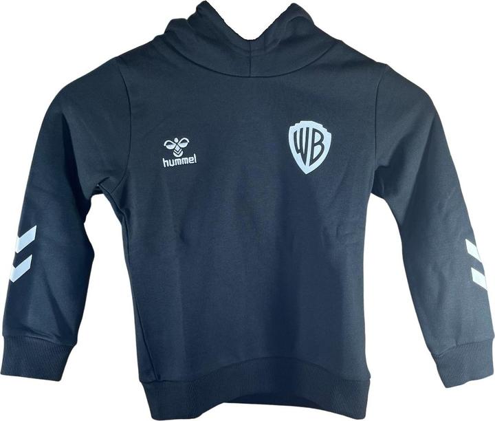 Actual product image hummel Hmlcelebrating Story Hoodie (134)