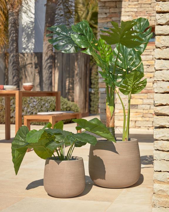 Image du produit Kave Home Alocasia Odora (57 cm)
