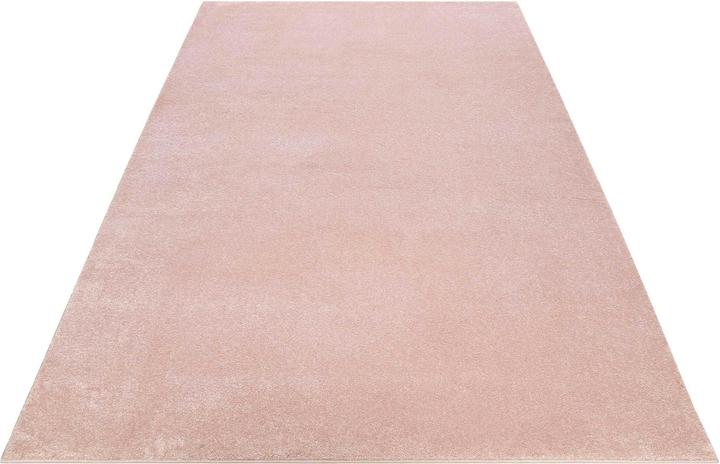 Image du produit Esprit Campus (80 x 150 cm)