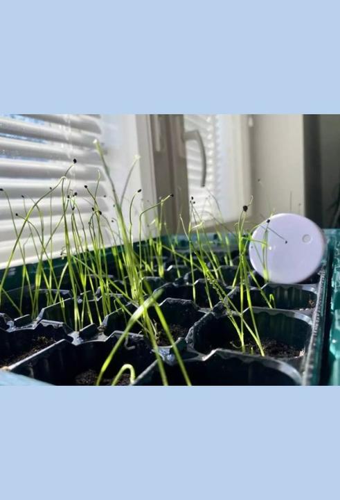 Produktbild Ruuvi RuuviTag Bluetooth Umwelt Sensor 4 in 1