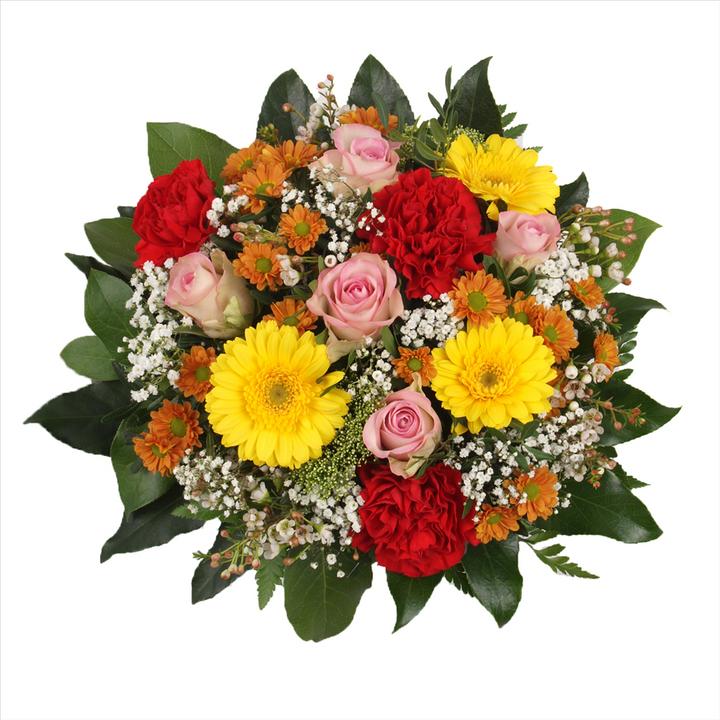 Actual product image Floramall Funny Colours (Cut flowers)