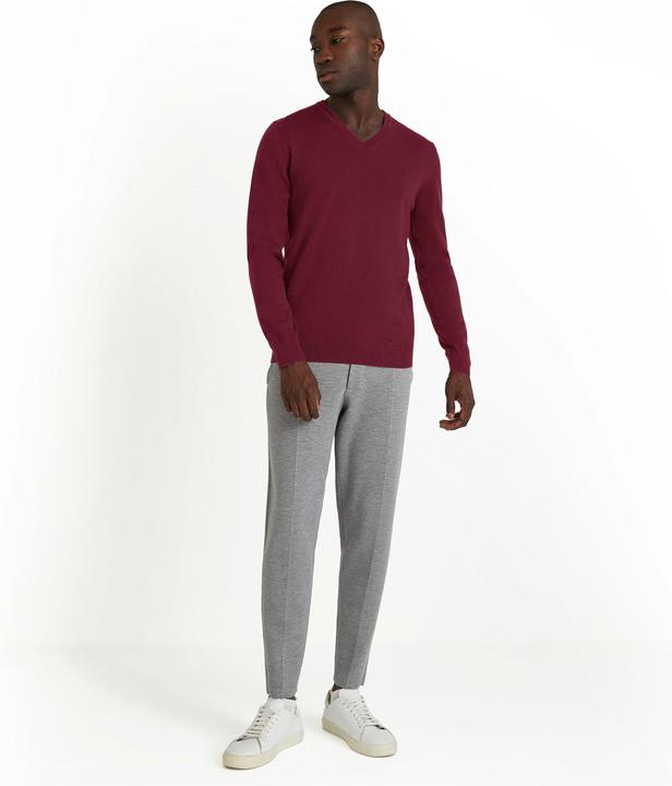 Actual product image Falke BA V-Neck m (S)