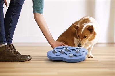 Produktbild Nina Ottosson Dog Hide N' Slide (Intelligenzspielzeug Hund)