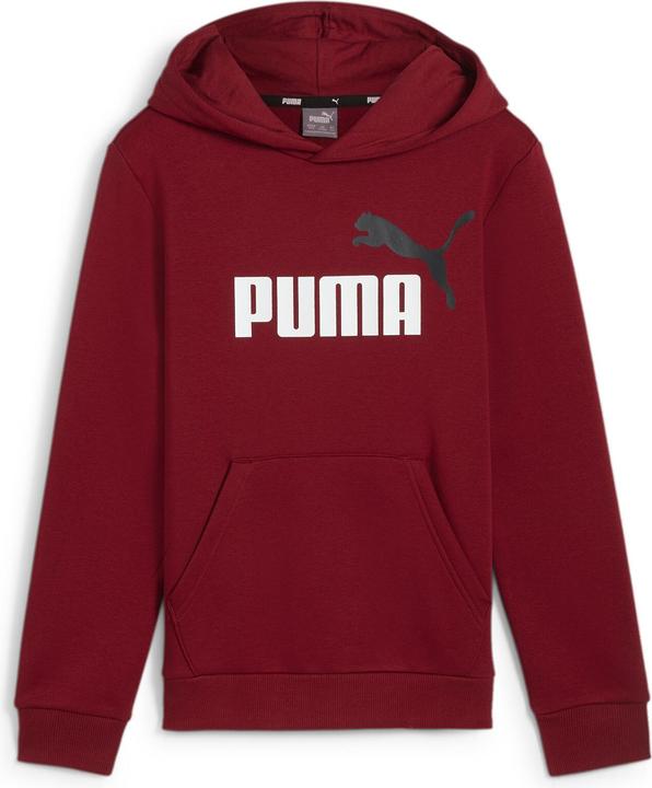 Produktbild Puma ESS+ 2 Col Big Logo Hoodie FL B (140)