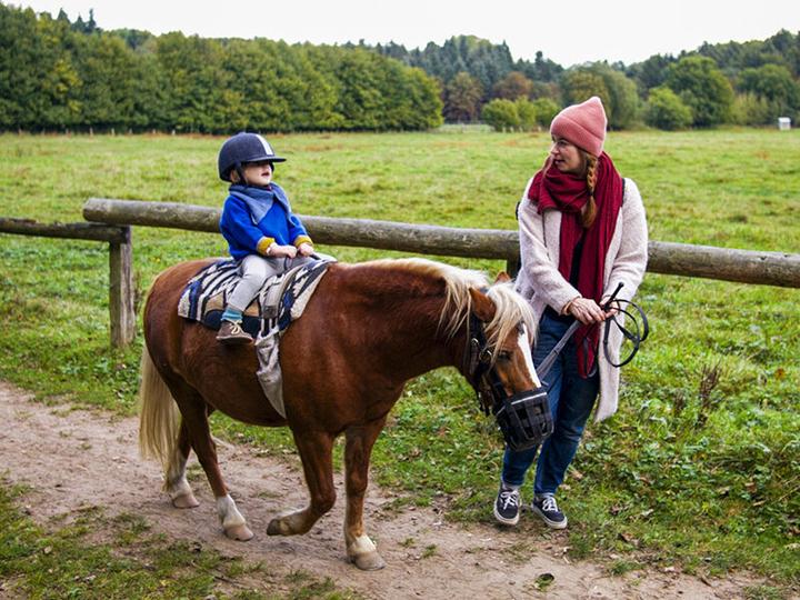 Produktbild Smartbox Ponyreiten für Kinder in der Nähe von Zürich (1 Pers.)