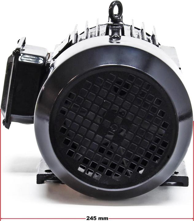 Actual product image Wiltec Electric motor