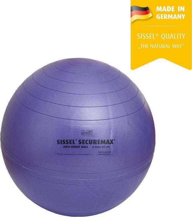 Actual product image Sissel Securemax (55 cm)