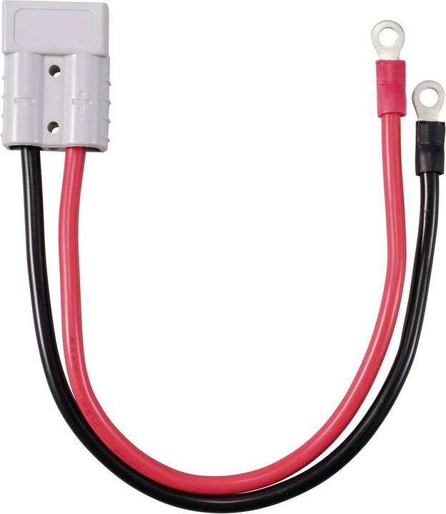 Actual product image Tru Components Hochstrom Batteriesteckverbinder auf M6-Ringöse TC-12195688 Schwarz, Rot TRU CO