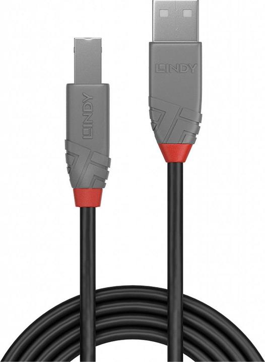 Produktbild Lindy USB/A-USB/B M-M (0.50 m, USB 2.0)