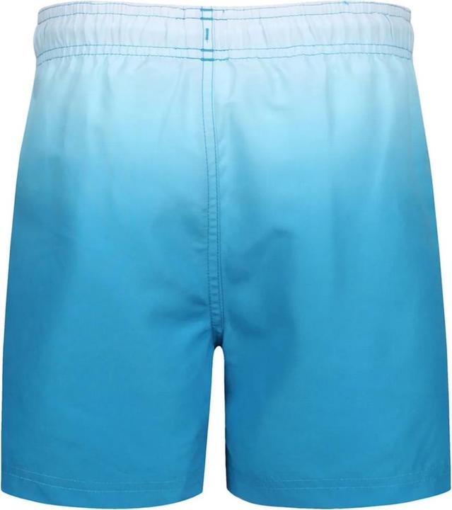 Immagine prodotto Ript Essentials Costume da Bagno a Pantaloncino Tintura ad immersione Uomo (XXL)