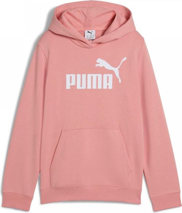 Actual product image Puma ESS No. 1 Logo Hoodie TR G (164)