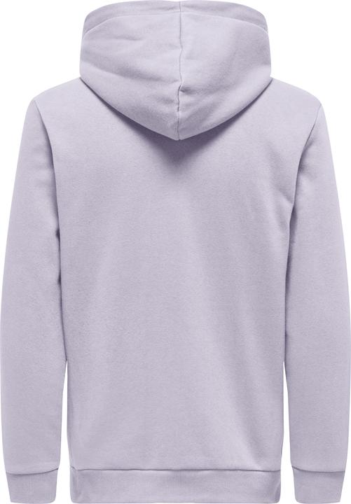 Produktbild Only & Sons Onsceres Hoodie Sweat Noos (S)