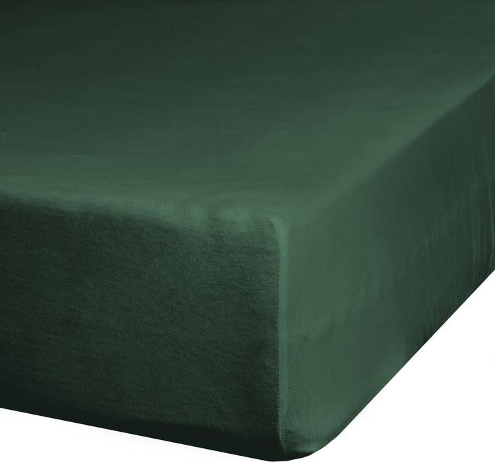 Actual product image Eurofirany D91 (180 x 200 cm)