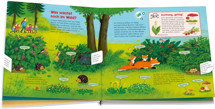 Immagine prodotto Bookii WAS IST WAS Kindergarten Entdecke den Wald (Tedesco, Johann Steinstraat, Andrea Weller-Essers, 2018)
