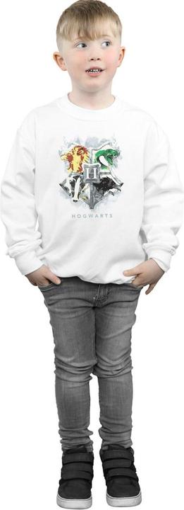 Produktbild Hogwarts Painted Crest Sweatshirt Jungen (140, 146)