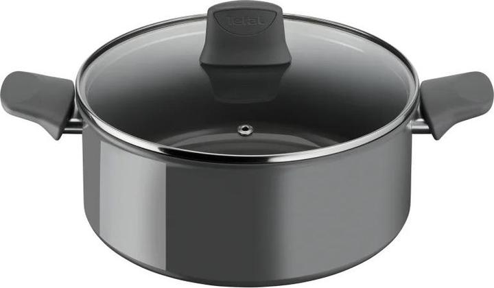 Actual product image Tefal Renewal pot with lid 24 cm (C4264673)