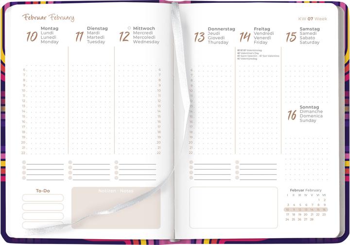 Actual product image Alpha Edition Ladytimer Retro 2025 pocket calendar, 10,7x15,2cm, calendar with 192 pages (German)