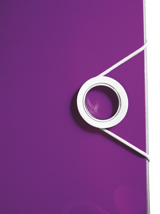 Actual product image Leitz WOW 180° Active (A4, 80 mm, 1 Piece)