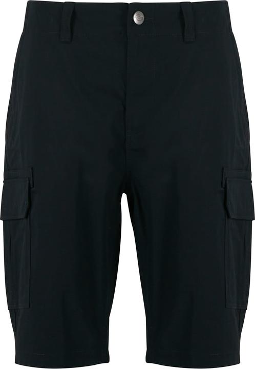 Dickies Millerville Shorts - 81689 (36)