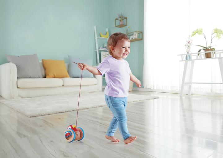 Image du produit Hape Birdie