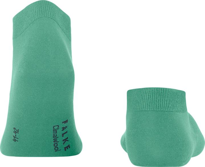 Image du produit Falke ClimaWool Hommes (41 - 42)